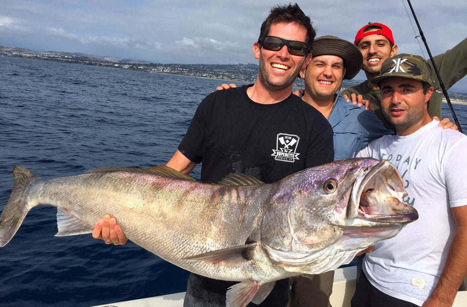 big-mouth-fish-CA